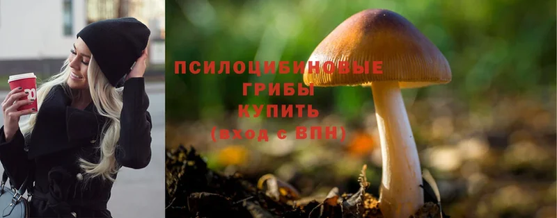 Псилоцибиновые грибы MAGIC MUSHROOMS  гидра как зайти  Лодейное Поле  как найти закладки 